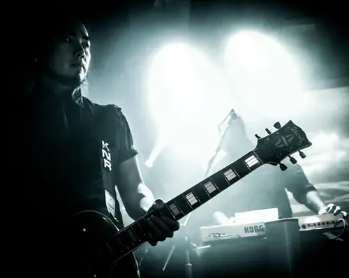 Kirlian Camera, Live 2016