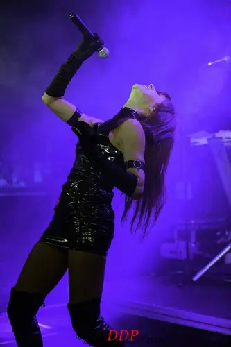 Kirlian Camera, Live 2017