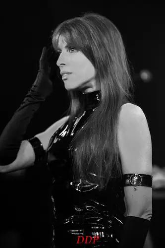 Kirlian Camera, Live 2017