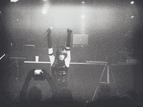 Kirlian Camera, Live 2017
