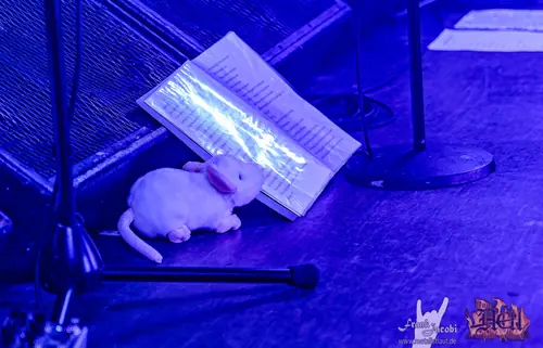 Kirlian Camera, 2026