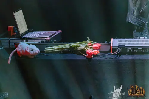 Kirlian Camera, 2026
