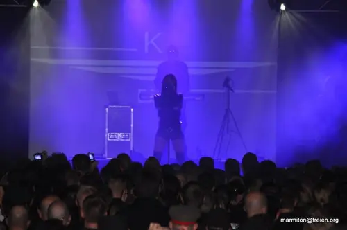 Kirlian Camera, Live, 2010–2016