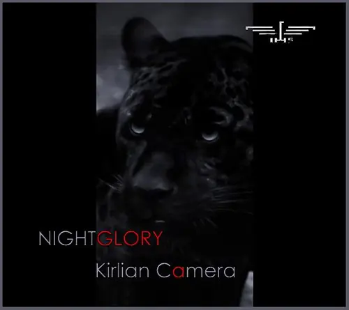 Kirlian Camera, 2011