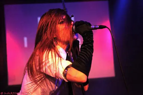 Kirlian Camera, Live 2013