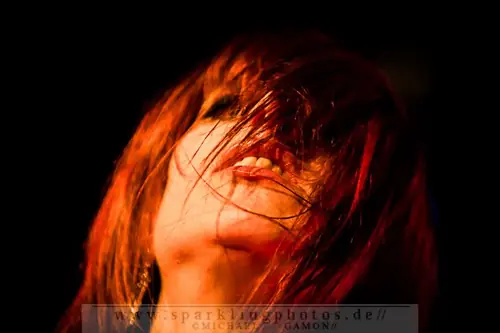 Kirlian Camera, Live 2013
