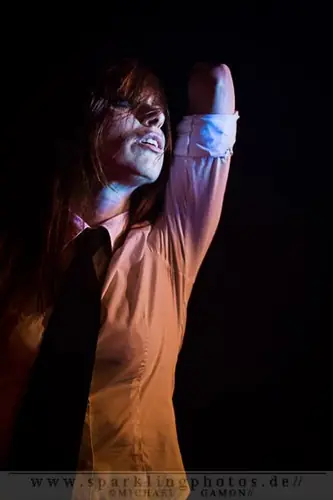 Kirlian Camera, Live 2013