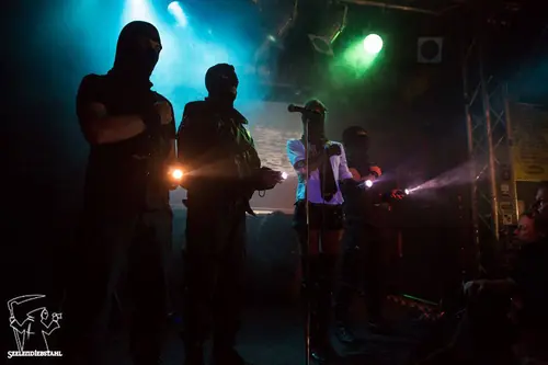 Kirlian Camera, Live 2013