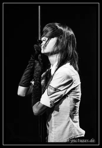 Kirlian Camera, Live 2013