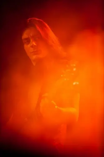 Kirlian Camera, Live 2014
