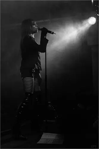 Kirlian Camera, Live 2014