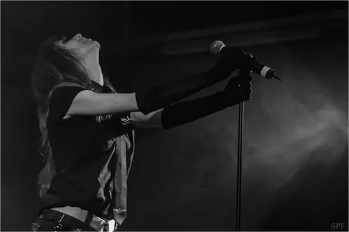 Kirlian Camera, Live 2014