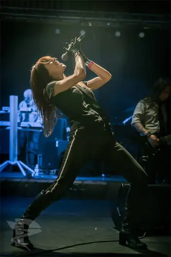 Kirlian Camera, Live 2015